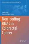 Non-coding Rnas In Colorectal Cancer Hardcover 1ST Ed. 2016