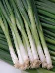 Onion Spring White Lisbon Seed - 100 G Raw Seed
