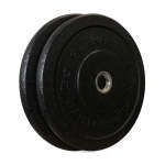 Alphastate Hi-temp Bumper Plate - 2 X 25KG