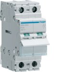 SBN290 2POLE 100A Modular Isolator