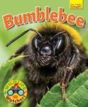 Wildlife Watchers: Bumblebee 2017 Paperback