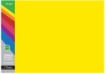 Treeline Premuim Deep Tint Yellow Board Folders Foolscap 192GSM 100S