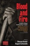 Blood And Fire - Toward A Global Anthropology Of Labor Paperback