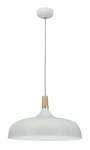 Contemporary Pendant Light - Black & Wood