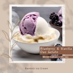 Blueberry & Vanilla Duo 2L