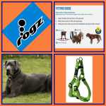 Rogz Classic Step-in Harness XL SSJ05 Opens 67-103CM