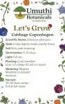Umuthi Cabbage Copenhagen Growing Seeds