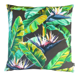 Birds Of Paradise Small Charcoal Organic Cotton Scatter Cover
