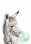 Bubble Gum Zebra - Wall Art Print Mint - A1
