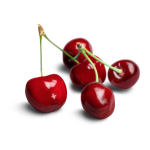 Cherry Concentrate - 10ML
