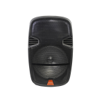 Finnteck Loudspeaker