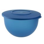 Tupperware Expression Bowl 7L
