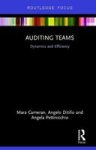 Auditing Teams - Dynamics And Efficiency Hardcover