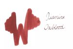 Diamine Fountain Pen Ink - Oxblood
