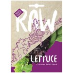 Lettuce Gourmet Salad Blend Seeds
