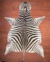 A Grade Zebra Hide 022 L