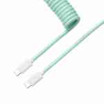 Coiled Aviator Cable Mint straight Cab 18