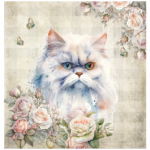 FSC2384 Printed Blanket Assorted