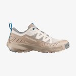 Salomon Terramphibian Watershoe