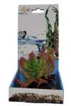Akwa Plastic Plant – PP9934 2.5" High