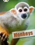 Bc Nf White A 2A Monkeys Paperback