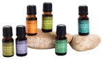 Faithful To Nature Your Most Essential Oil Bundle