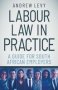 Labour Law In Practice - A Guide For South African Employers   Paperback 2ND Revised Edition