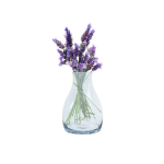 Bottle Shape Vase 21CM H X 7CM W