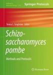 Schizosaccharomyces Pombe - Methods And Protocols Hardcover 1ST Ed. 2018