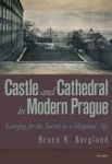 Castle And Cathedral In Modern Prague Paperback