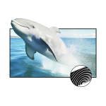 Vividstorm Cinevision Pro Fixed Frame Fresnel Ust Alr Projector Screen