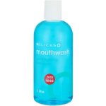 Clicks Payless Mouthwash Cool Mint 1L