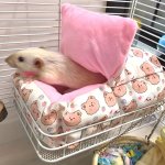 Hamster's Nest Small Pet Warm Nest Winter Sleeping Bed Two-storey Wrought Iron Multifunctional Platform View Balcony