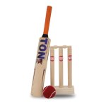 Ss ton MINI Cricket Set