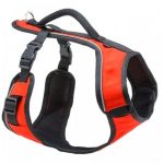Petsafe Medium Easy Walk Sport Harness No Pull Harness Waggs Pet Shop