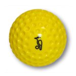 Bowling Machine Cricket Ball