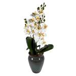 White Orchid In Green & White Pot 48CM