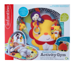 Explore & Store Activity Gym