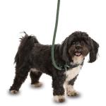 3 In 1 Slip Lead - Small