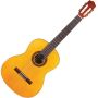 Protege C1 Nylon String Acoustic Guitar With Gig Bag - Spruce