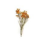 - Wax Flowers - Rust - 78CM