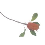 Artificial Flower - Burned Red Pincushion