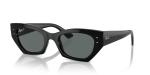 Zena Unisex Sunglasses In Black - Black