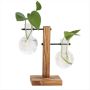 C Plant Propagation Stations Desktop Plant Terrarium