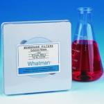 Cellulose Nitrate Sterile 0.45 Um 50MM