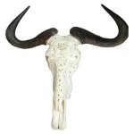 Intricately Carved Wildebeest Skull With Pattern 60CM