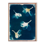 Frangipani II I Art Print - A3