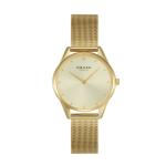Smykke - Stainless Steel Gold Pvd Champagne Dial Watch V297LXGGMG-DS
