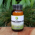 Sutherlandia 350 Big Tree Nutraceutical