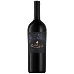 Cabernet Sauvignon 2022 - Single